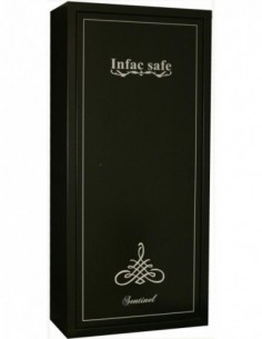 Armoire À Fusils Infac...