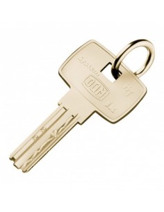 DOUBLE CLE DOM IX5 KG A...