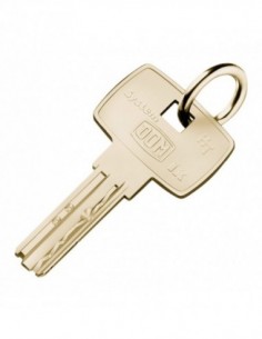 DOUBLE CLE DOM IX5 HT SANS...