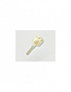 DOUBLE CLE SECURYSTAR...