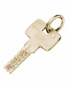 DOUBLE CLE DOM IX10 SANS...