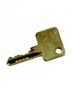 DOUBLE CLE ABUS TS5000 SUR...