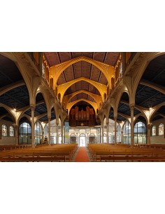 forster thermfix light